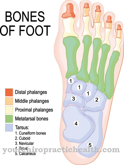 artrozė iš pėdos pirštų sąnariai sanariu skausmas