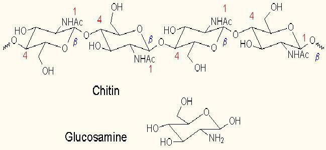 analogai gliukozamino ir chondroitino geriausi liaudies gynimo priemonės nuo osteochondrozės