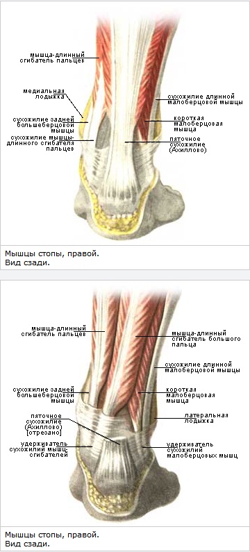 artrozė ii etapuose viduriniosios departamento pėdos sąnarių artrozė kairiojo sąnario