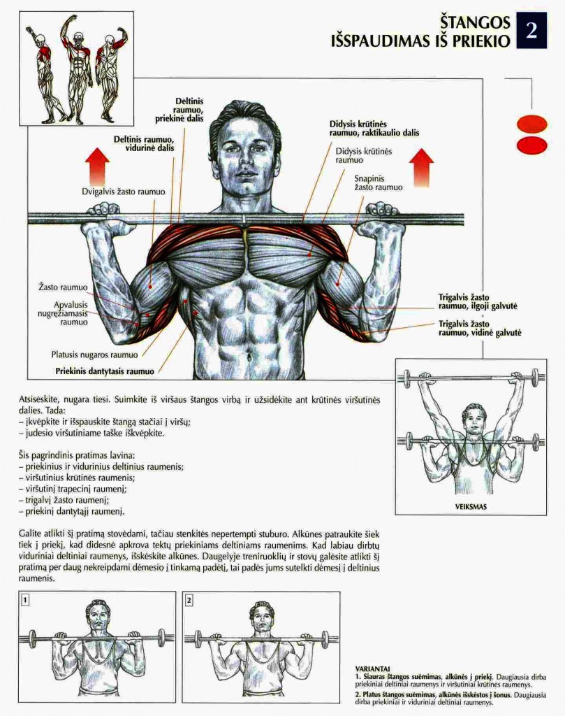 raumenų traumos pečių palaikimo