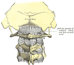 gydymas artrozė nugaros artrozė sąnarių sustabdyti 2 laipsnių