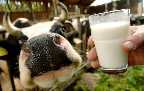 pienas ir sąnarių liga
